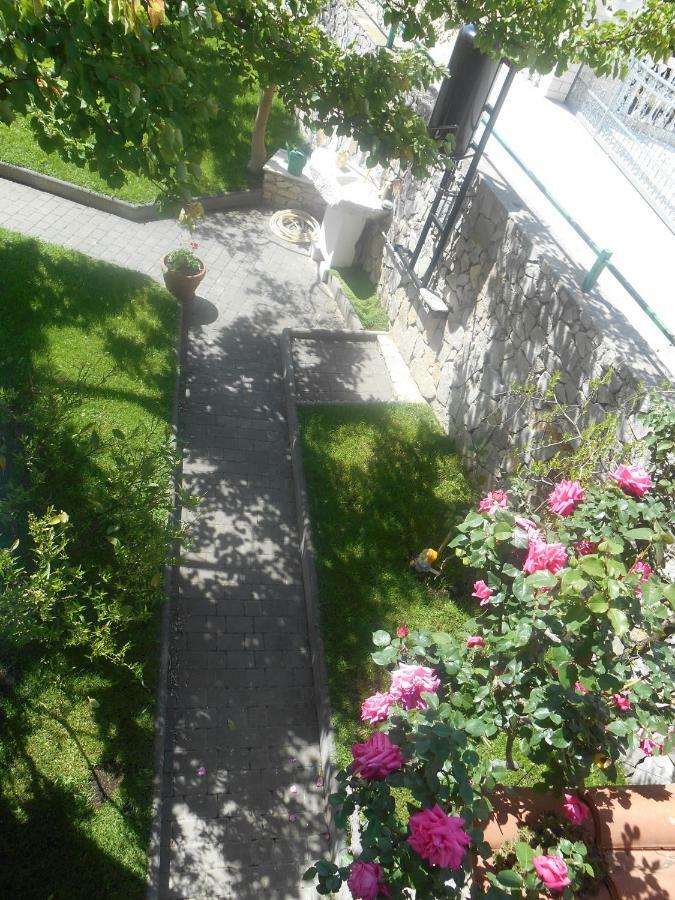 Vukicevic Apartment