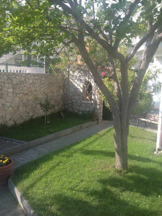 Vukicevic Vodice